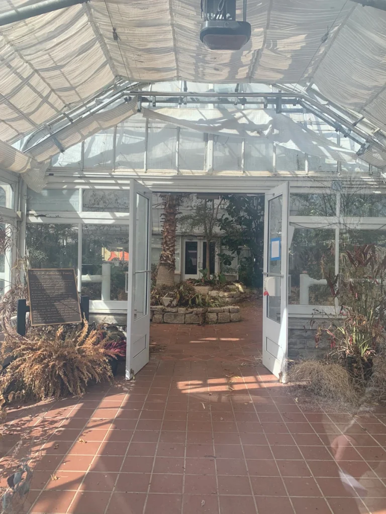 Open doors leading into the DM Rutherford Conservatory with tiled floor, plant beds, and a central palm tree.