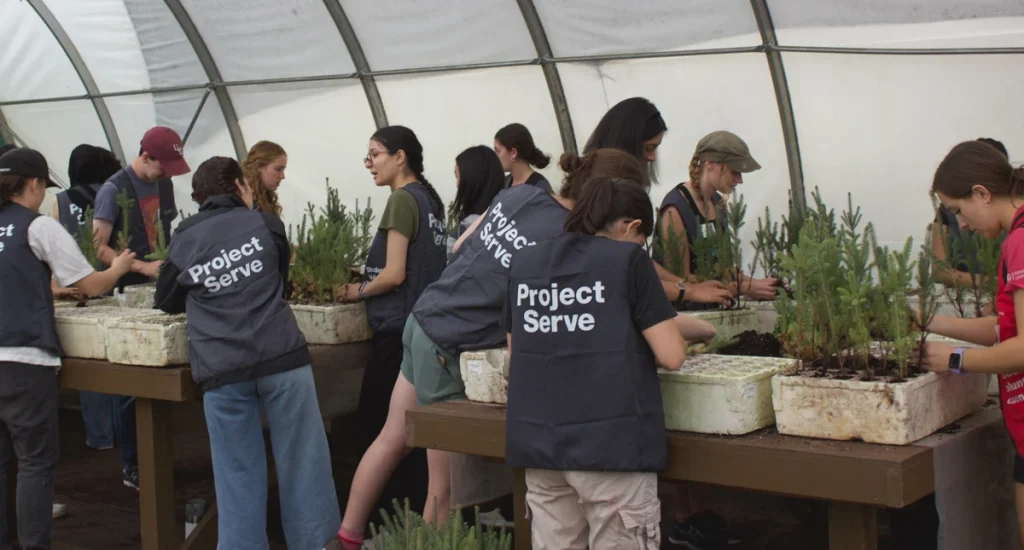 Project Serve volunteers transplant saplings at tables inside a greenhouse.