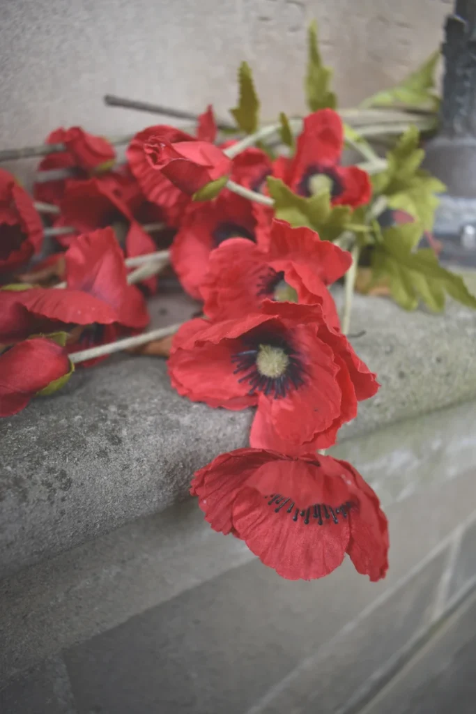 Red poppies rest on a stone ledge in soft focus.