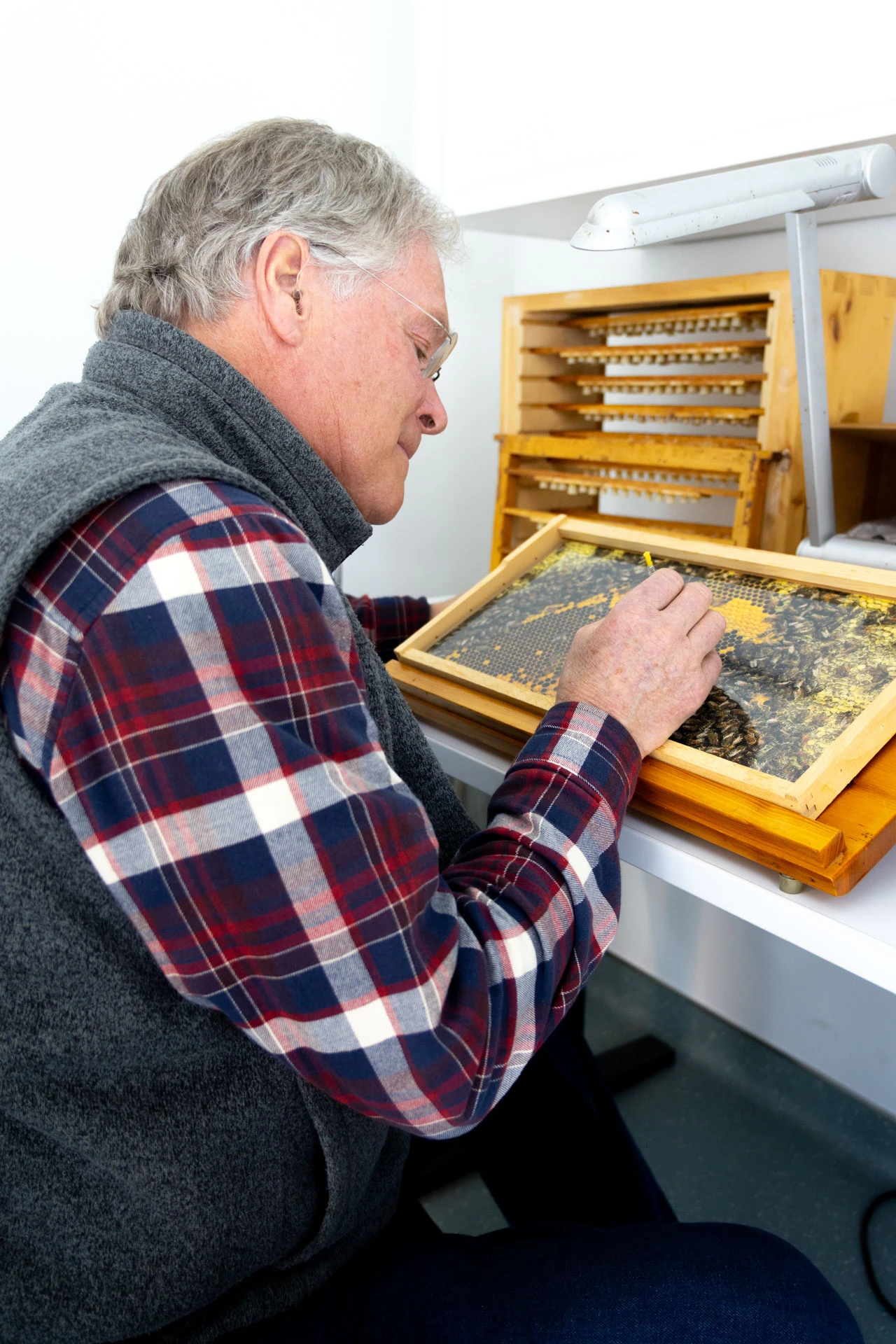 Learning about the birds and the bees