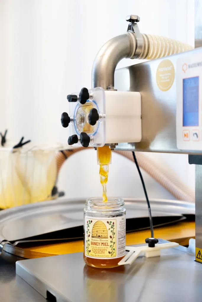 Honey flows from a filling machine into a glass jar labeled “Summer Blossom Honey/Miel” from the University of Guelph Honey Bee Research Centre.