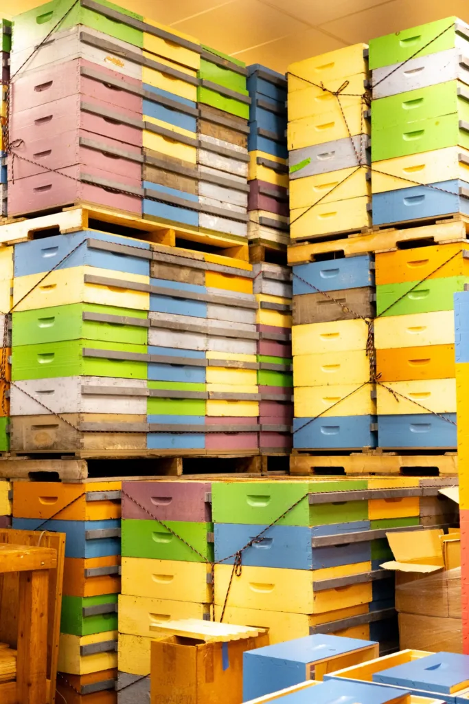 Stacks of colourful wooden beehive boxes are piled on pallets inside a storage room.